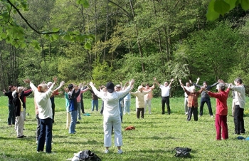 Qigong im Park Sommeraktion 2013